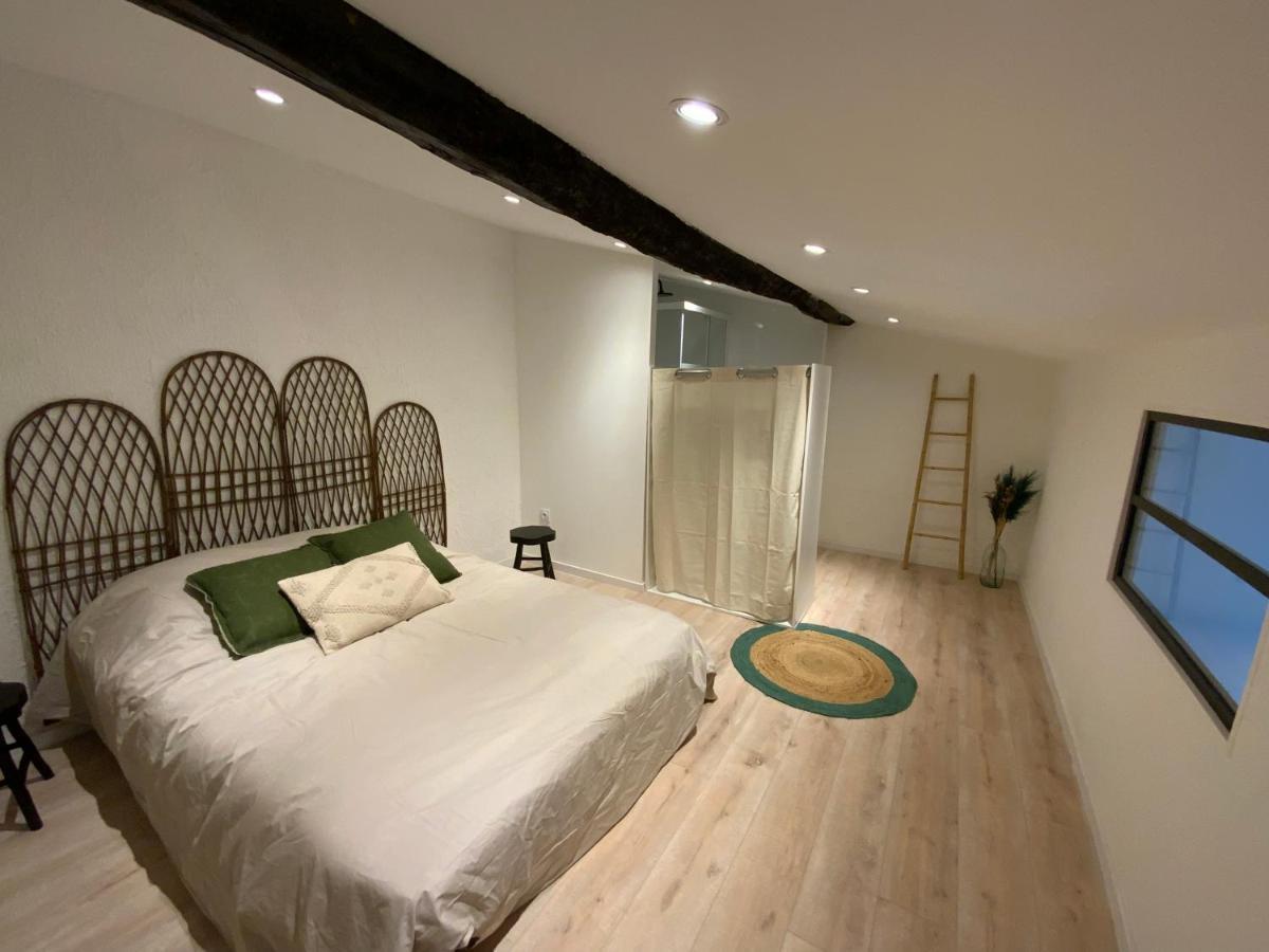 Tres Bel Appartement Refait A Neuf 페르피냥 외부 사진